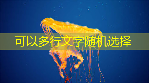 山东邹城智慧城市 山东邹城智慧城市