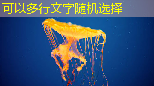 bwin必赢在线登录入口,智能物流仓储设备布局方案 bwin必赢在线登录入口,智能物流仓储设备布局方案