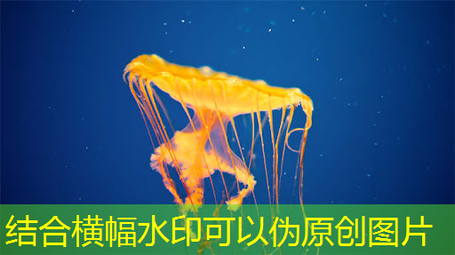 bwin必赢在线登录入口,物流智能监控和预警 bwin必赢在线登录入口,物流智能监控和预警
