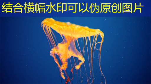 bwin必赢，数拓智慧商显：通过数据分析实现精准广告投放