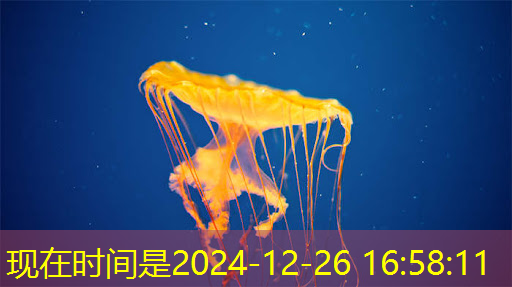 bwin必赢,从自研芯片到软件算法 国产手机厂商挑战影像供应链“深水区” bwin必赢,从自研芯片到软件算法 国产手机厂商挑战影像供应链“深水区”