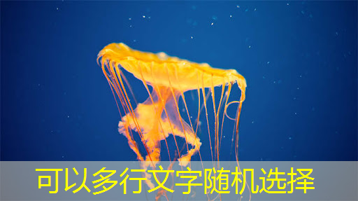 bwin必赢国际官方网站,亚马逊AI芯片高管谈Nvidia为何不是竞争对手 bwin必赢国际官方网站,亚马逊AI芯片高管谈Nvidia为何不是竞争对手