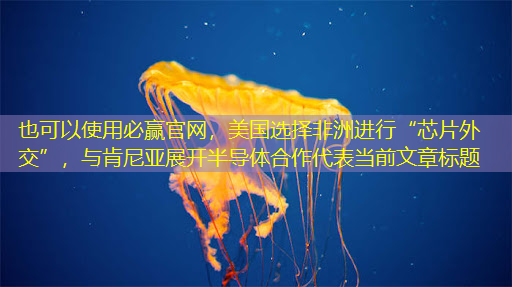 必赢官网，美国选择非洲进行“芯片外交”，与肯尼亚展开半导体合作