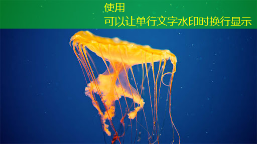 必赢官网,技术水平远超华为海思+高通,A股唯一芯片国产替代龙头,下一个大涨1000%的寒武纪 必赢官网,技术水平远超华为海思+高通,A股唯一芯片国产替代龙头,下一个大涨1000%的寒武纪