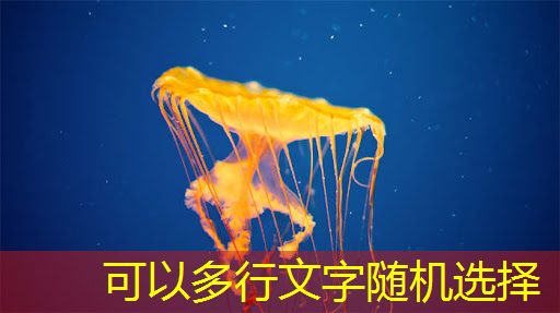 bwin必赢国际官方网站,接力巨轮智能,全国唯一人形机器人芯片龙头,业绩暴增354%+306家机构提前爆买 bwin必赢国际官方网站,接力巨轮智能,全国唯一人形机器人芯片龙头,业绩暴增354%+306家机构提前爆买