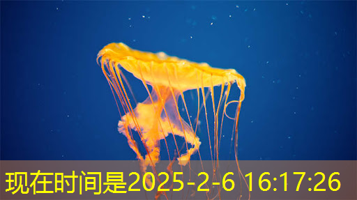 长城放话为国超车!魏建军:千亿研发砸芯片、能源和智能车,核心员工100%持股 长城放话为国超车!魏建军:千亿研发砸芯片、能源和智能车,核心员工100%持股