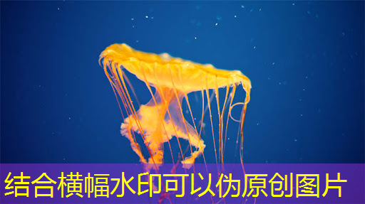 bwin必赢国际官方网站,300万颗根本不够!芯片封装、AI手机都需要,“气冷式全硅主动散热”是什么? bwin必赢国际官方网站,300万颗根本不够!芯片封装、AI手机都需要,“气冷式全硅主动散热”是什么?