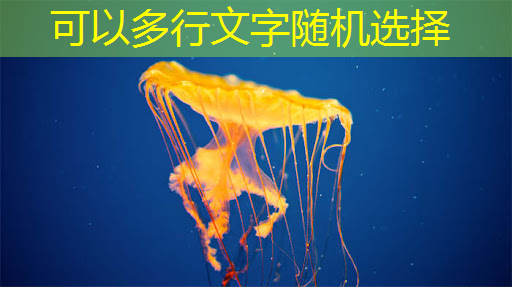 bwin必赢,美国芯片巨头与中方合作!将在深圳新建芯片创新中心 bwin必赢,美国芯片巨头与中方合作!将在深圳新建芯片创新中心