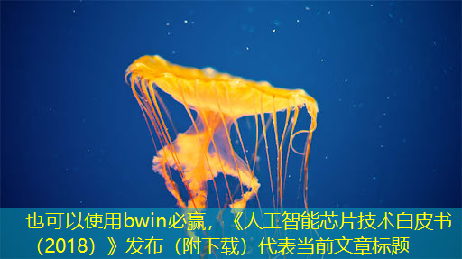 bwin必赢,《人工智能芯片技术白皮书(2018)》发布(附下载) bwin必赢,《人工智能芯片技术白皮书(2018)》发布(附下载)