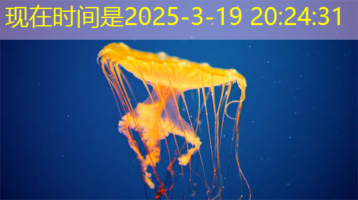 必赢官网,Talk预告 | 类脑芯片应用遭质疑?他山科技CEO孙滕谌带来分布式类脑芯片创新性研究分享 必赢官网,Talk预告 | 类脑芯片应用遭质疑?他山科技CEO孙滕谌带来分布式类脑芯片创新性研究分享