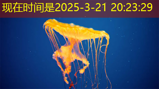 1.22早:蓝筹股的虹吸效应,当下还是看芯片和算力,浪潮信息,长电科技,蓝思科技,天下秀,引力传媒,华资实业 1.22早:蓝筹股的虹吸效应,当下还是看芯片和算力,浪潮信息,长电科技,蓝思科技,天下秀,引力传媒,华资实业