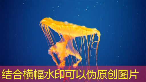 bwin必赢国际官方网站,谷歌推出迄今为止最强大、最节能的人工智能芯片 bwin必赢国际官方网站,谷歌推出迄今为止最强大、最节能的人工智能芯片