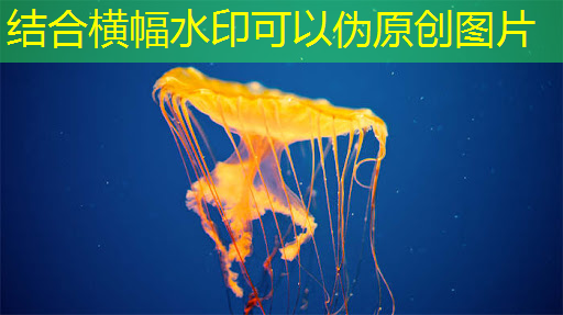 bwin必赢,IBM宣布量子计算里程碑 Falcon芯片性能再次跃升 bwin必赢,IBM宣布量子计算里程碑 Falcon芯片性能再次跃升