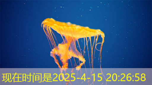 AI芯片龙头业绩狂飙1033%!世界领先+国内第一,东方“博通”强势崛起! AI芯片龙头业绩狂飙1033%!世界领先+国内第一,东方“博通”强势崛起!