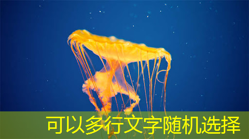 必赢官网,如何选择合适的射频芯片:选型指南与建议 必赢官网,如何选择合适的射频芯片:选型指南与建议