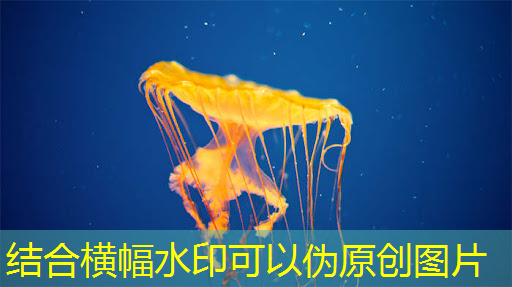 bwin必赢国际官方网站,猎头顾问如何选择行业?芯片设计?智能驾驶?储能?医疗?制造业?金融?电源&电力电子?嵌入式C/C++领域?互联网?机器人? bwin必赢国际官方网站,猎头顾问如何选择行业?芯片设计?智能驾驶?储能?医疗?制造业?金融?电源&电力电子?嵌入式C/C++领域?互联网?机器人?