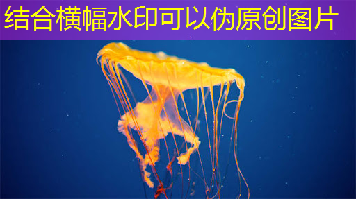 bwin必赢,芯驰科技汽车芯片系列公开课上线,第一期主讲E3系列车规MCU及ADAS/BMS应用方案 | 直播预告 bwin必赢,芯驰科技汽车芯片系列公开课上线,第一期主讲E3系列车规MCU及ADAS/BMS应用方案 | 直播预告