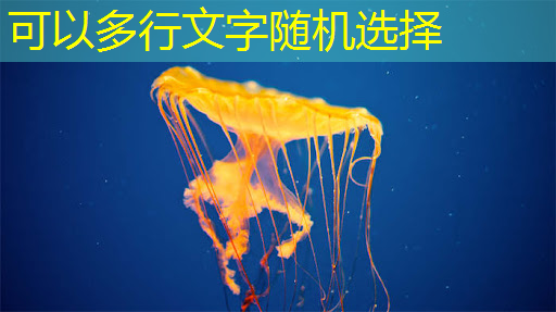bwin必赢,一年的时间,这家上海芯片独角兽又给我们带来了什么惊喜? bwin必赢,一年的时间,这家上海芯片独角兽又给我们带来了什么惊喜?