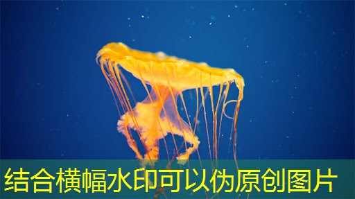 必赢官网,人工智能的热度被我们芯片行业蹭到了! 必赢官网,人工智能的热度被我们芯片行业蹭到了!