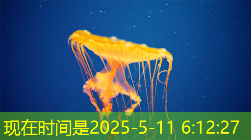 bwin必赢在线登录入口,Talk预告 | 壁仞智能科技高级研究员唐杉:AI芯片技术发展 bwin必赢在线登录入口,Talk预告 | 壁仞智能科技高级研究员唐杉:AI芯片技术发展