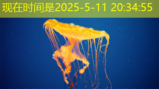 bwin必赢国际官方网站,从控制器到显示器:电视中的常见芯片及其作用 bwin必赢国际官方网站,从控制器到显示器:电视中的常见芯片及其作用