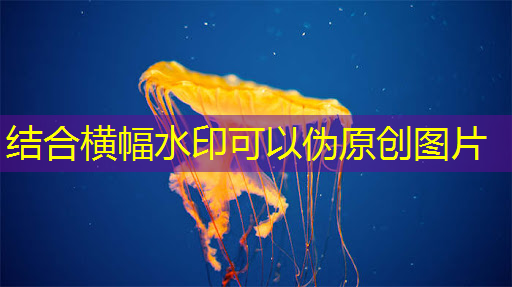 探秘飞腾:国产芯片的崛起之星 探秘飞腾:国产芯片的崛起之星