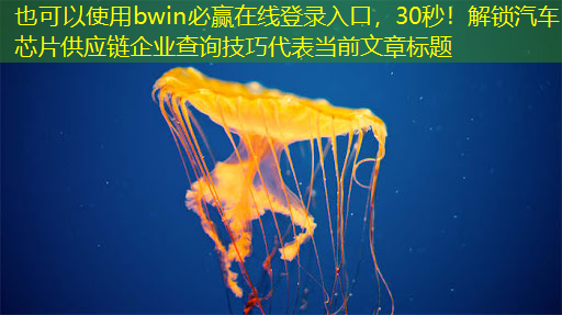 bwin必赢在线登录入口,30秒!解锁汽车芯片供应链企业查询技巧 bwin必赢在线登录入口,30秒!解锁汽车芯片供应链企业查询技巧