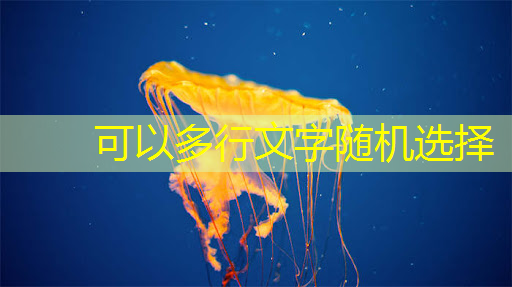 《人工智能芯片技术白皮书(2018)》发布(附下载) 《人工智能芯片技术白皮书(2018)》发布(附下载)