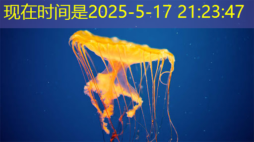 AI, GPU和芯片的未来 AI, GPU和芯片的未来