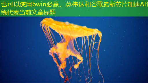 bwin必赢,英伟达和谷歌最新芯片加速AI训练 bwin必赢,英伟达和谷歌最新芯片加速AI训练