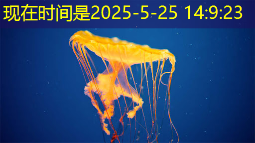 bwin必赢，湃方科技CEO武通达：高能效边缘AI芯片在工业AIoT中的应用实践｜公开课预告