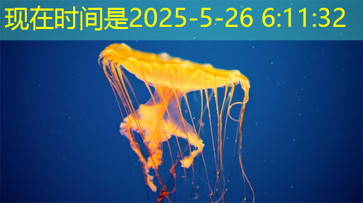 bwin必赢在线登录入口，从控制器到显示器：电视中的常见芯片及其作用