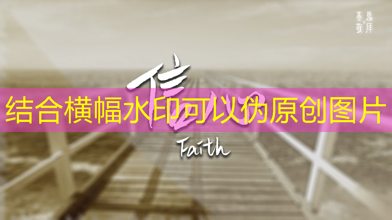 必赢官网，一年的时间，这家上海芯片独角兽又给我们带来了什么惊喜？