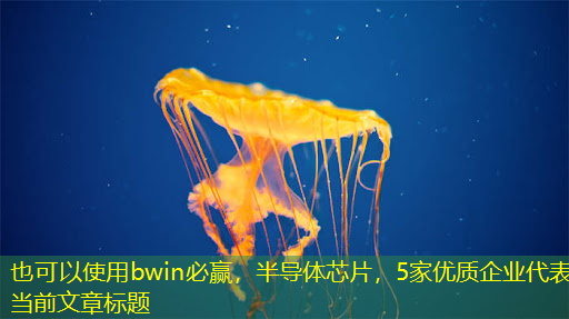 bwin必赢,半导体芯片,5家优质企业 bwin必赢,半导体芯片,5家优质企业