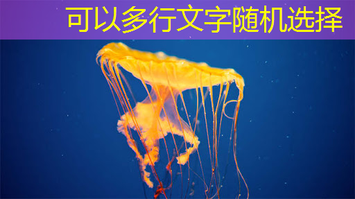 必赢官网，谷歌推出量子芯片Willow：五分钟完成超算10的25次方年的计算；禾赛将推出机器人领域迷你3D激光雷达丨智能制造日报