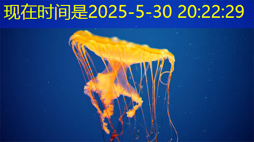 bwin必赢在线登录入口,最全集成电路、半导体芯片板块投资标的及独家资料(收藏帖) bwin必赢在线登录入口,最全集成电路、半导体芯片板块投资标的及独家资料(收藏帖)