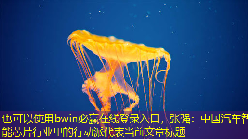 bwin必赢在线登录入口,张强:中国汽车智能芯片行业里的行动派 bwin必赢在线登录入口,张强:中国汽车智能芯片行业里的行动派