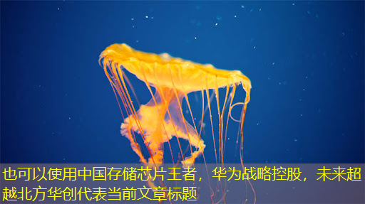 中国存储芯片王者,华为战略控股,未来超越北方华创 中国存储芯片王者,华为战略控股,未来超越北方华创