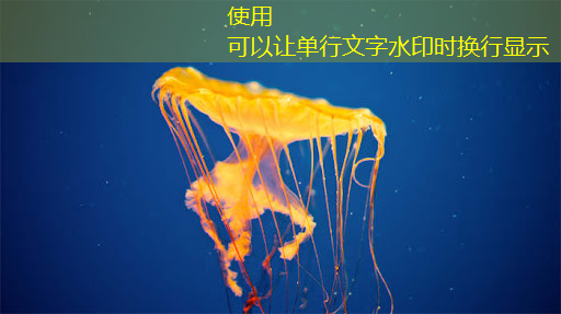 bwin必赢,聚焦东北亚博览会丨特别观察:现代农业植入了“智慧芯片”为粮食安全护航 bwin必赢,聚焦东北亚博览会丨特别观察:现代农业植入了“智慧芯片”为粮食安全护航