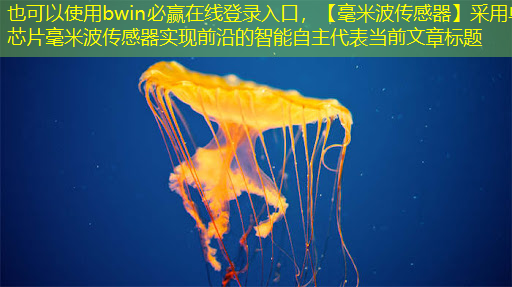 bwin必赢在线登录入口,【毫米波传感器】采用单芯片毫米波传感器实现前沿的智能自主 bwin必赢在线登录入口,【毫米波传感器】采用单芯片毫米波传感器实现前沿的智能自主