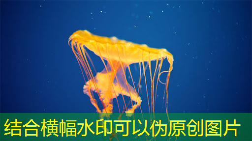 bwin必赢国际官方网站,什么是通讯芯片?常见的通讯芯片有什么? bwin必赢国际官方网站,什么是通讯芯片?常见的通讯芯片有什么?