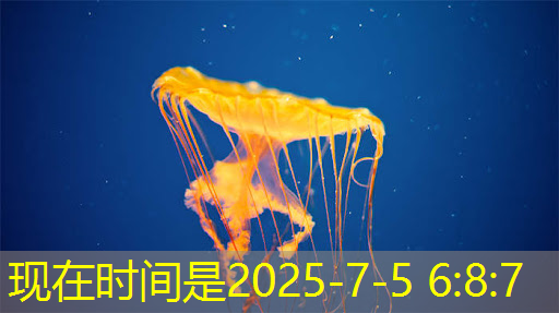 必赢官网，数字中国如何应对芯片技术封锁所带来的算力挑战？