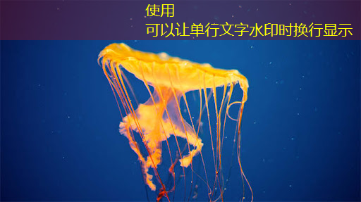 bwin必赢在线登录入口，芯片检测的“无损革命”：半导体非破坏性分析