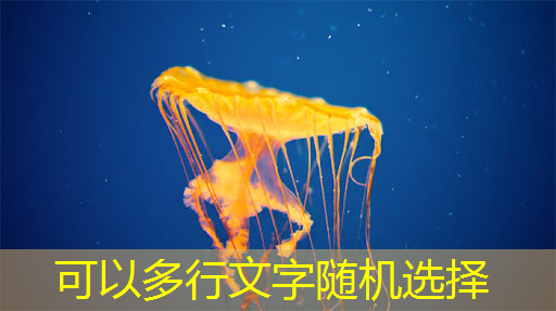 bwin必赢，猎头顾问如何选择行业？芯片设计？智能驾驶？储能？医疗？制造业？金融？电源&电力电子？嵌入式C／C++领域？互联网？机器人？