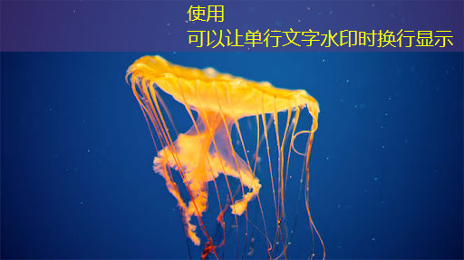 11.16继续买买买（芯片+虚拟现实）
