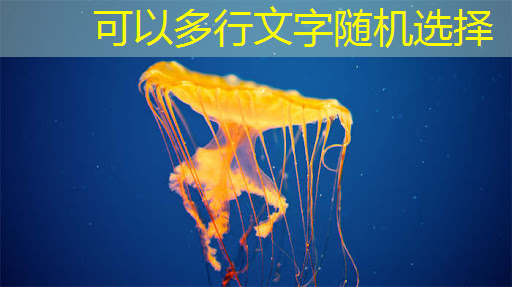 bwin必赢国际官方网站,地平线工具链核心开发者杨志刚:基于征程5芯片的Transformer量化部署实践与经验|自动驾驶新青年讲座 bwin必赢国际官方网站,地平线工具链核心开发者杨志刚:基于征程5芯片的Transformer量化部署实践与经验|自动驾驶新青年讲座