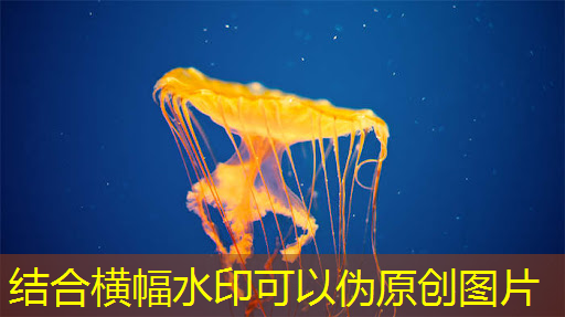 bwin必赢在线登录入口,从控制器到显示器:电视中的常见芯片及其作用 bwin必赢在线登录入口,从控制器到显示器:电视中的常见芯片及其作用