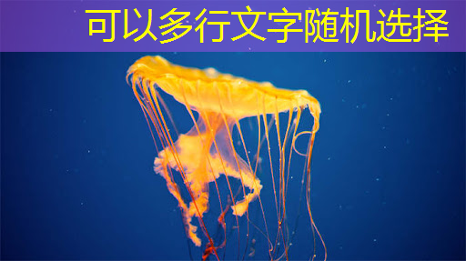 bwin必赢,全志科技领涨,芯片股新宠儿 bwin必赢,全志科技领涨,芯片股新宠儿