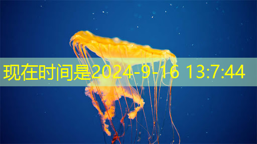 期待的智慧城市是什么样的 期待的智慧城市是什么样的