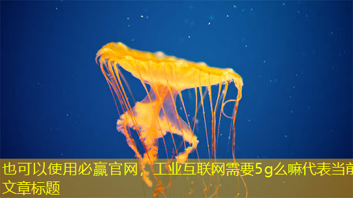 工业互联网需要5g么嘛 工业互联网需要5g么嘛